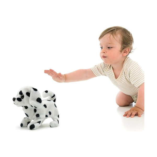 Pugs At Play Walking Spotty 6.5In
