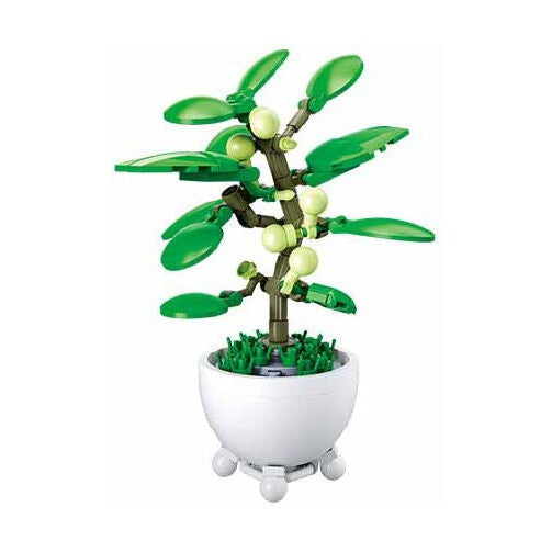 Sluban - Pleyerid-Potted Plants(6 Boxes In 1 Display Box)-2