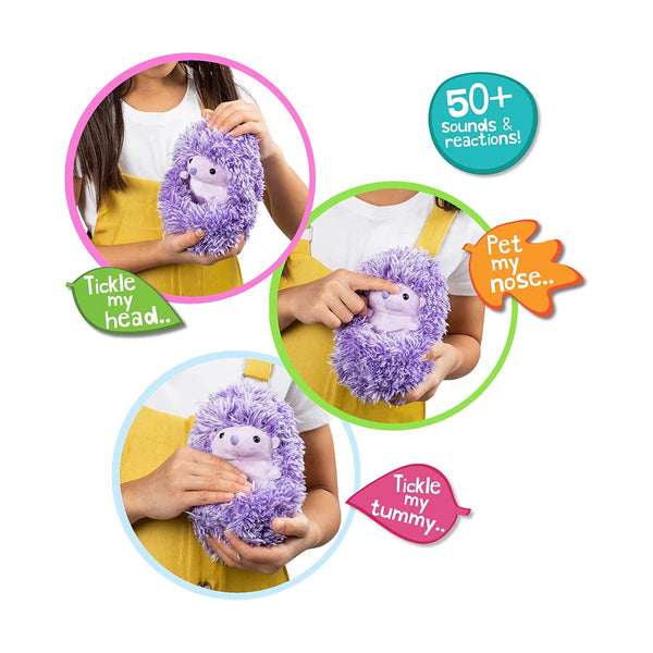 Discovery Curlimals Asst Hedgehog