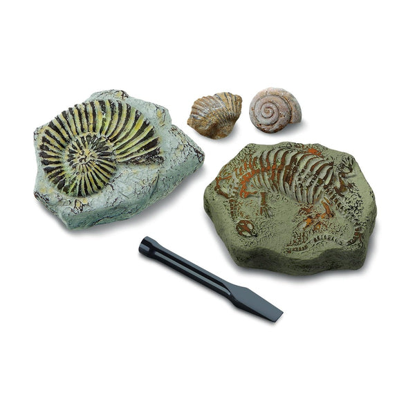 Discovery Toy Excavation Kit Mini Fossil 2Pc