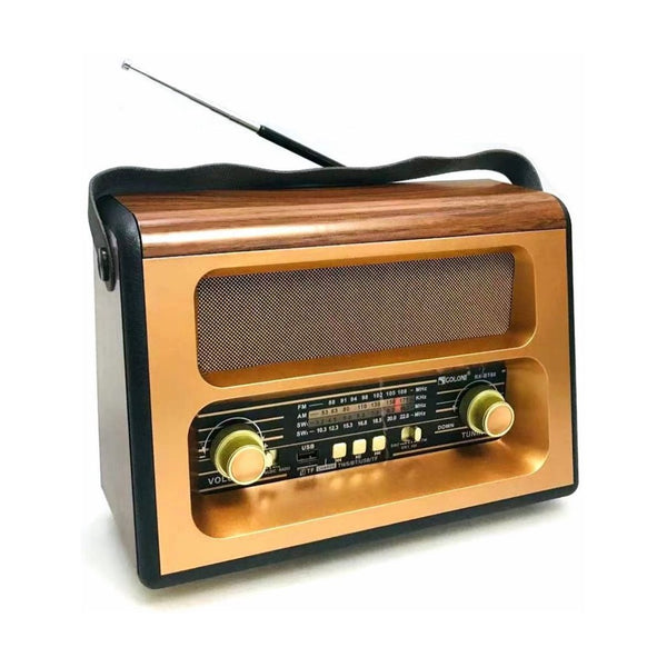 Anbernic - Golon Radio RX-BT88