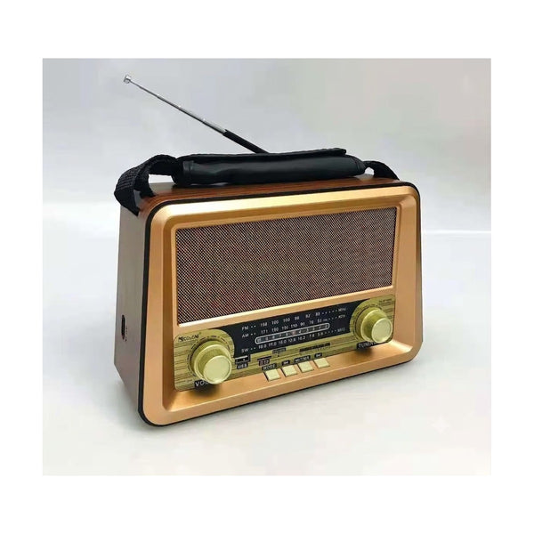 Anbernic - Radio Golon RX-BT1006 Portable Wireless Radio