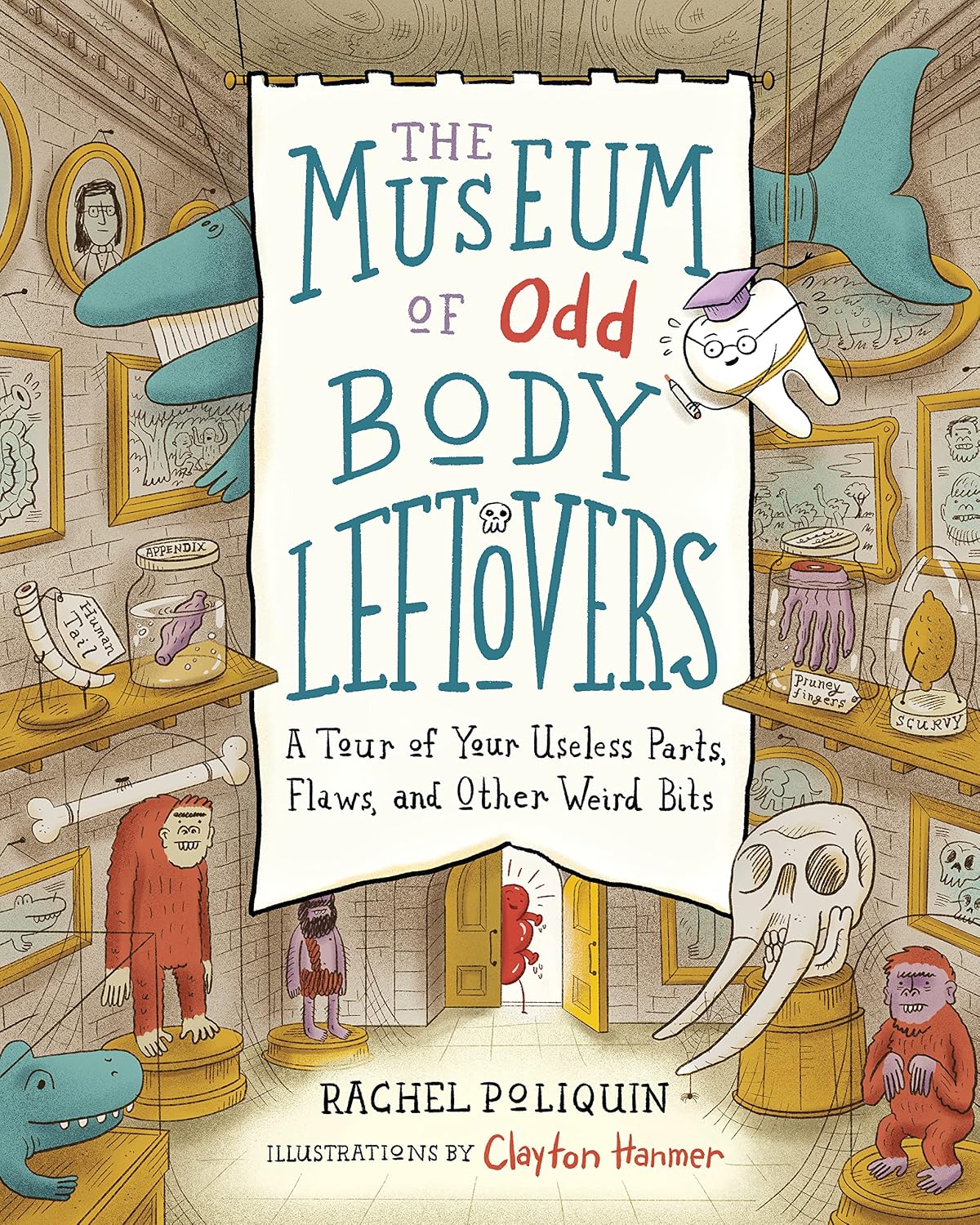 Museum of Odd Body Leftovers by Rachel Poliquin