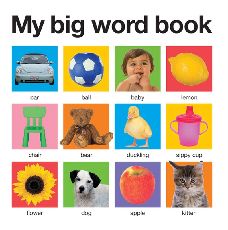 My Big Word Book (Casebound)