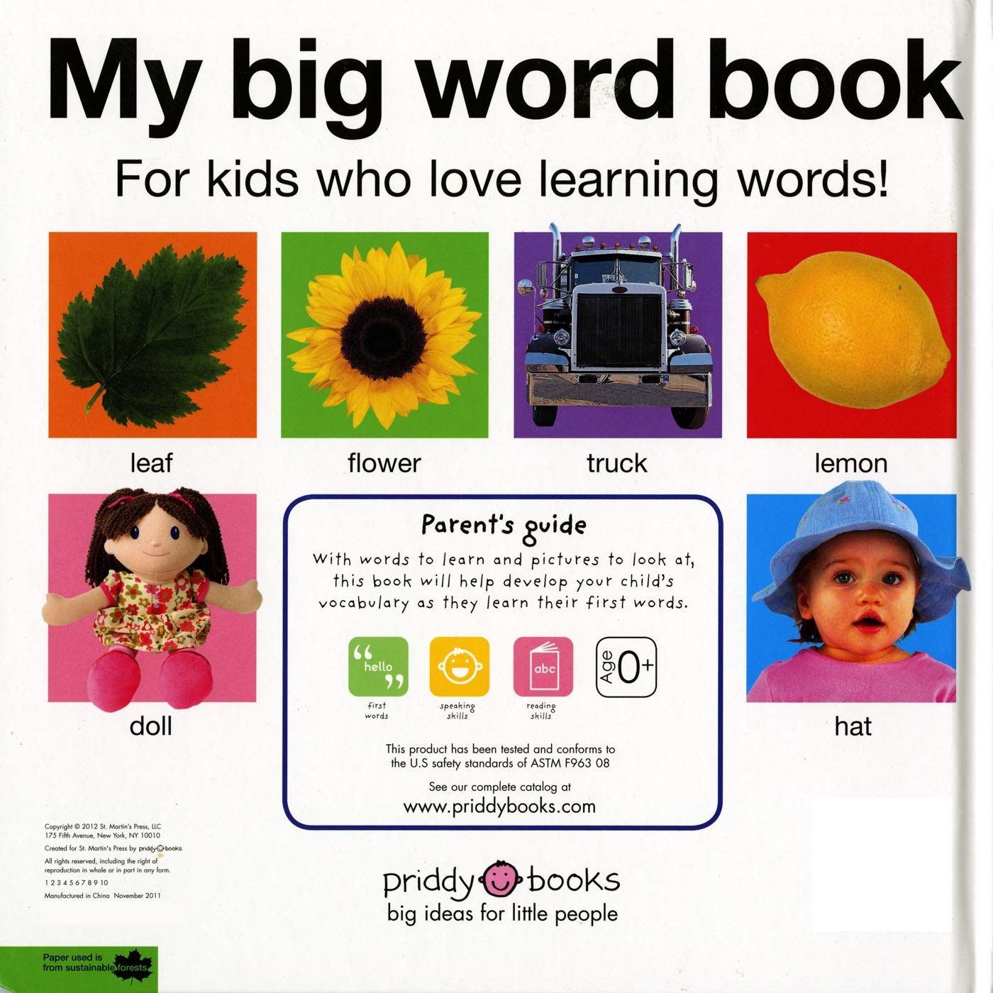 My Big Word Book (Casebound)