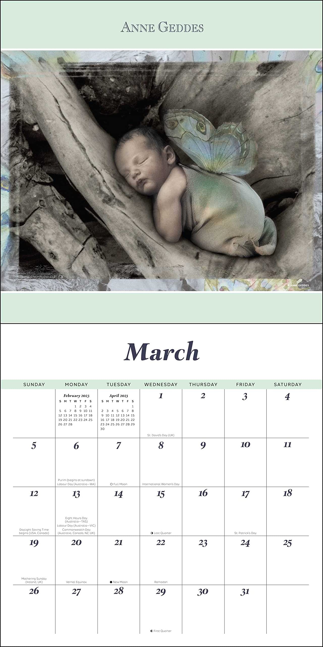 Anne Geddes 2023 Wall Calendar — DNA