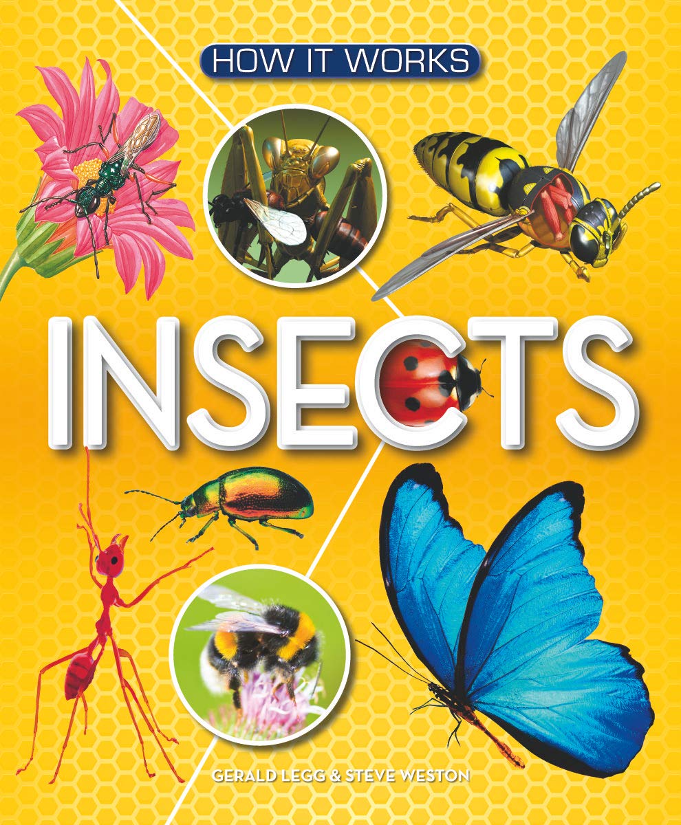 How It Works: Insects — DNA